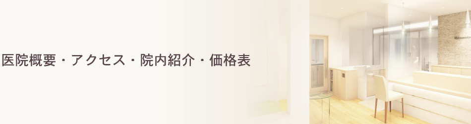 医院概要・アクセス・院内紹介・価格表