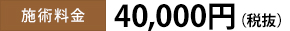 施術料金40,000円（税抜）