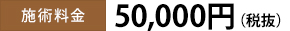 施術料金50,000円（税抜）